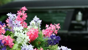 direct cremation with no service